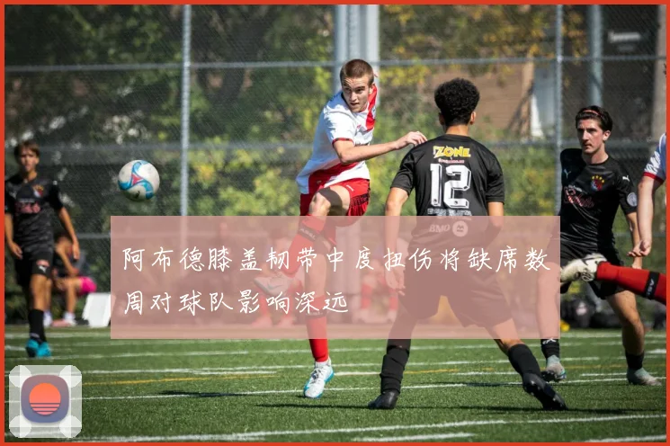 阿布德膝盖韧带中度扭伤将缺席数周对球队影响深远